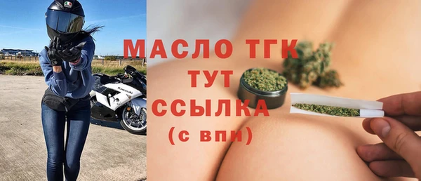 гашик Бородино