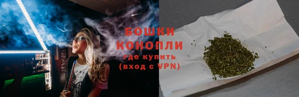 гашик Бородино