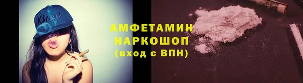 гашик Бородино
