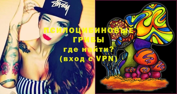 молекула духа Бугульма