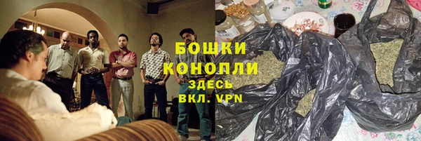 гашик Бородино