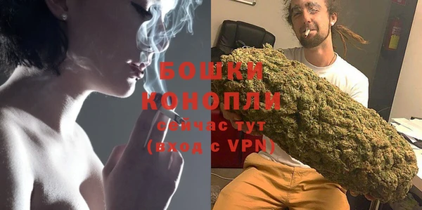 гашик Бородино