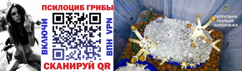 закладка  МЕГА   Псилоцибиновые грибы мицелий  Ахтырский 